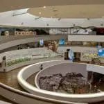 Niveles-del-museo-ciencias-naturales