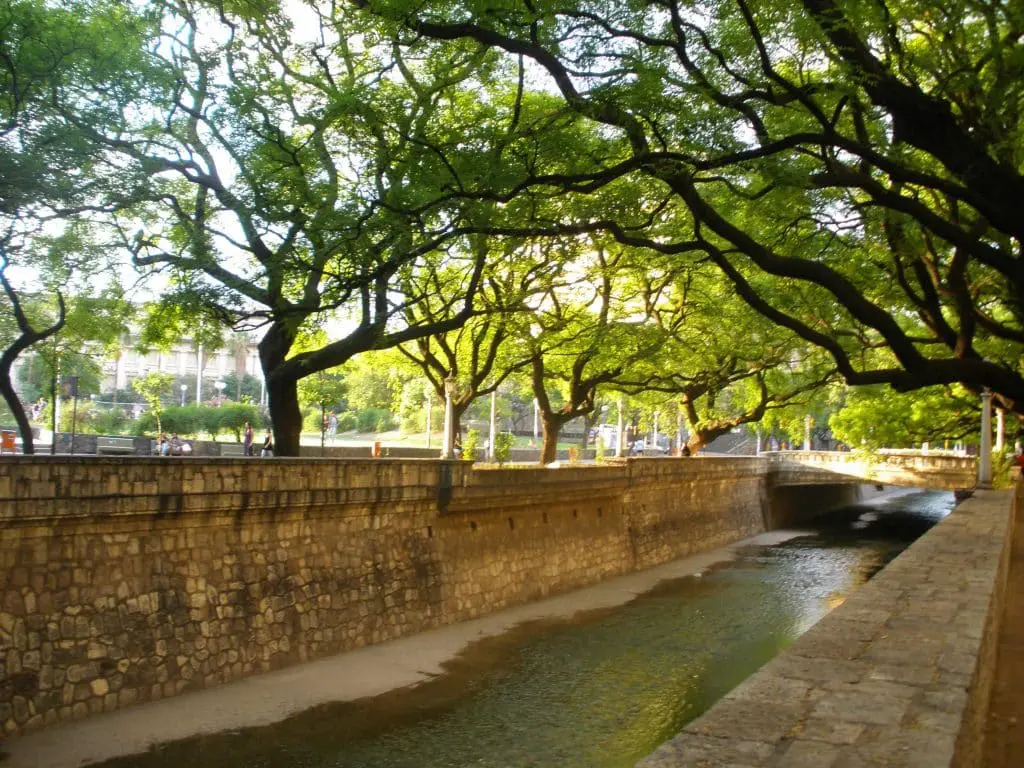 Qué hacer en enero de 2017 en la ciudad de córdoba Los árboles en córdoba son verdes.