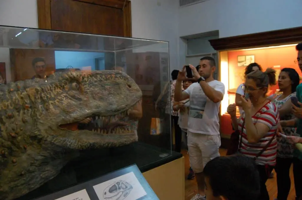 Noche de los museos 2017 2 15025267 886151494859807 657738830054457413 o – 3