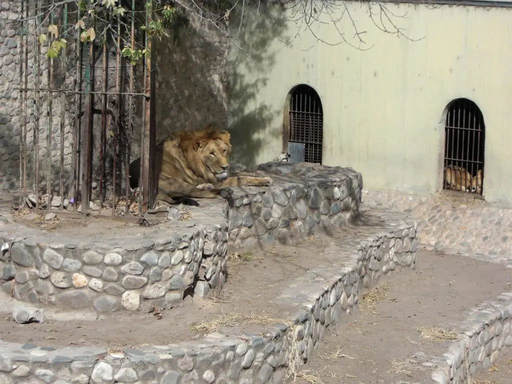 Zoo cordoba argentina municipalidad &ndash; 1