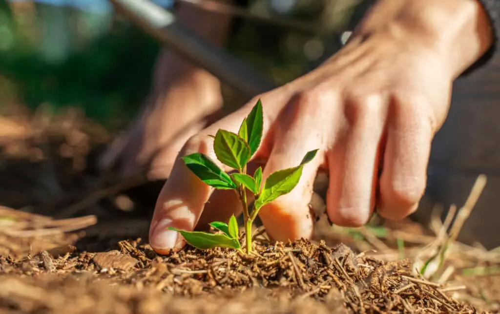 Educación ambiental en córdoba: formando ciudadanos conscientes y comprometidos Medioambiente cordoba – 1