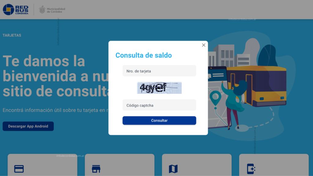Verificar el saldo de tu tarjeta red bus
